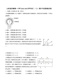 山东省济南第一中学2024-2025学年高二（上）期中考试物理试卷