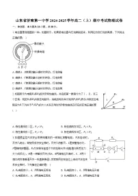 山东省济南第一中学2024-2025学年高二（上）期中考试物理试卷