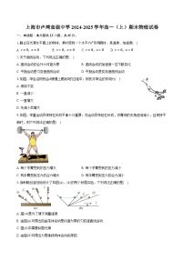 上海市卢湾高级中学2024-2025学年高一（上）期末物理试卷