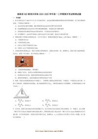 2024～2025学年湖南省920教育共同体高一上期末考试物理试卷(含解析)