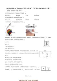 2024～2025学年海市浦东新区九年级上(上)期末物理试卷([高考]一模)(含解析)