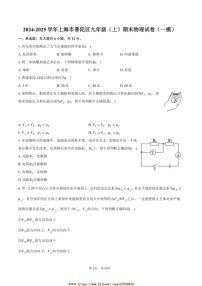 2024～2025学年上海市普陀区九年级(上)期末物理试卷([高考]一模)(含解析)