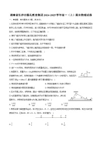 湖南省长沙市雅礼教育集团2024-2025学年高一（上）期末物理试卷