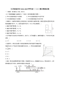 江苏省扬州市2024-2025学年高二（上）期末物理试卷