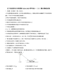 辽宁省沈阳市市郊联体2024-2025学年高一（上）期末物理试卷