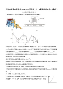 上海市青浦高级中学2024-2025学年高二（上）期末物理试卷（合格考）