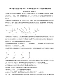 上海市新中高级中学2024-2025学年高一（上）期末物理试卷