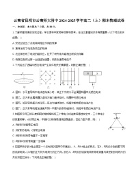 云南省昆明市云南师大附中2024-2025学年高二（上）期末物理试卷