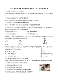 2024-2025学年重庆市七校联考高一（上）期末物理试卷（含答案）