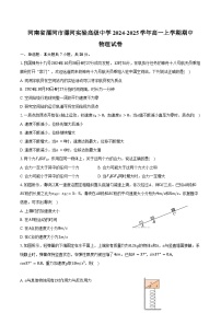 河南省漯河市漯河实验高级中学2024-2025学年高一上学期期中物理试卷（含解析）