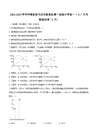 河南省驻马店市新蔡县第一高级中学2024-2025学年高一（上）月考物理试卷（1月）（含解析）