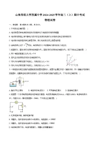 山东师范大学附属中学2024-2025学年高二上学期期中物理试卷（含解析）