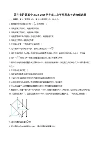 四川省泸县五中2024-2025学年高二上学期期末考试物理试卷（含解析）