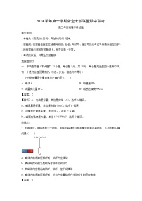 浙江省台金七校联盟2024-2025学年高二上学期11月期中联考物理试卷（解析版）