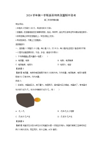 浙江省杭州市浙里特色联盟2024-2025学年高二上学期11月期中物理试卷（解析版）