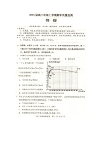 湖北省武昌区2024-2025学年高三上学期期末质量检测（图片版）物理试卷