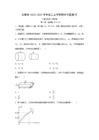 安徽省合肥市普通高中2024~2025学年高二上学期期末总复习测物理试卷（解析版）