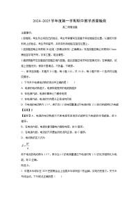 山东省济宁市2024-2025学年高二上学期11月期中教学质量检测物理试卷（解析版）