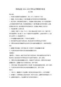 河南省开封市五校2024-2025学年高二上学期期中物理试卷（解析版）