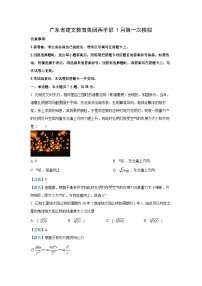 2025届广东省建文教育集团两学部高三上学期第一次模拟考试（一模）物理试题（解析版）