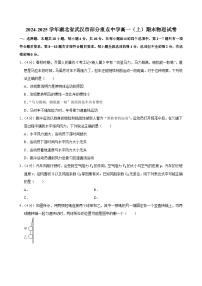2024-2025学年湖北省武汉市部分重点中学高一（上）期末物理试卷