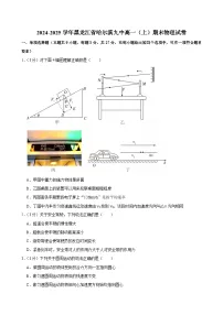 2024-2025学年黑龙江省哈尔滨九中高一（上）期末物理试卷