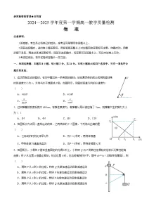 山东省实验中学2024—2025学年度第一学期高一期末质量检测物理试题