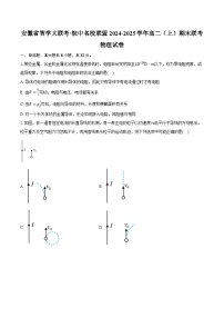 安徽省智学大联考·皖中名校联盟2024-2025学年高二上学期期末联考物理试卷