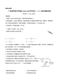 广东省深圳市罗湖区2024-2025学年高二（上）期末物理试卷