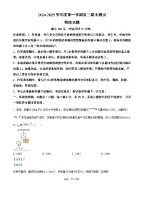 广东省阳江市高新区2024-2025学年高二上学期1月期末物理试题（解析版）