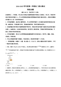 广东省阳江市高新区2024-2025学年高二上学期1月期末物理试题