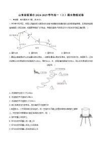 山东省淄博市2024-2025学年高一（上）期末物理试卷（含解析）