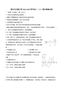 重庆市巴蜀中学2024-2025学年高二（上）期末物理试卷