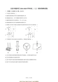 2024～2025学年北京市通州区高二上期末物理试卷(含解析)