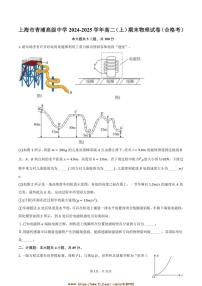 2024～2025学年海市青浦高级中学高二上(上)期末物理试卷(合格考)(含解析)