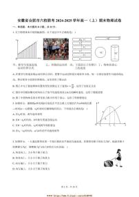 2024～2025学年安徽省合肥市六校联考(月考)高一上期末物理试卷(含解析)