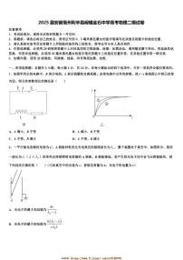 2025届安徽亳州利辛县阚疃金石中学高考物理二模试卷(含解析)