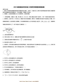 2025届安徽池州市东至二中高考冲刺模拟物理试卷(含解析)