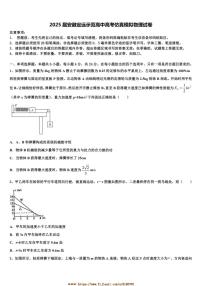 2025届安徽定远示范高中高考仿真模拟物理试卷(含解析)