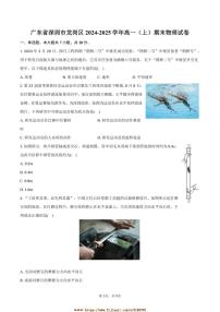 2024～2025学年广东省深圳市龙岗区高一上期末物理试卷(含解析)
