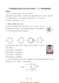 2024～2025学年广东省深圳市宝安区高二上期末物理试卷(含解析)