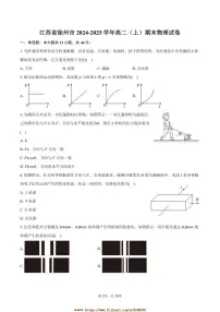 2024～2025学年江苏省徐州市高二上期末物理试卷(含解析)