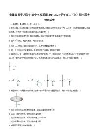 安徽省智学大联考·皖中名校联盟2024-2025学年高二（上）期末联考物理试卷