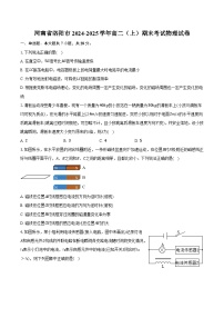 河南省洛阳市2024-2025学年高二（上）期末考试物理试卷