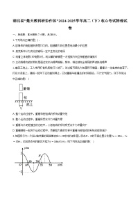 湖北省_楚天教科研协作体_2024-2025学年高二（下）收心考试物理试卷