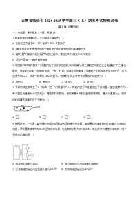 云南省临沧市2024-2025学年高三（上）期末考试物理试卷（含解析）