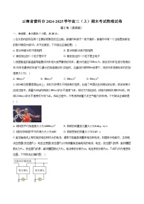 云南省普洱市2024-2025学年高三（上）期末考试物理试卷（含解析）