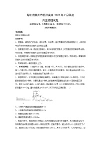 湖北省随州市部分高中2024-2025学年高三下学期2月月考物理试题（解析版）