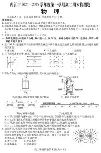 四川省内江市2024-2025学年高二上学期期末检测物理试题
