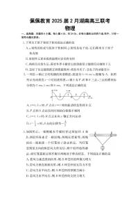 物理-湖南省佩佩教育2025届2月高三下学期开学联考试题